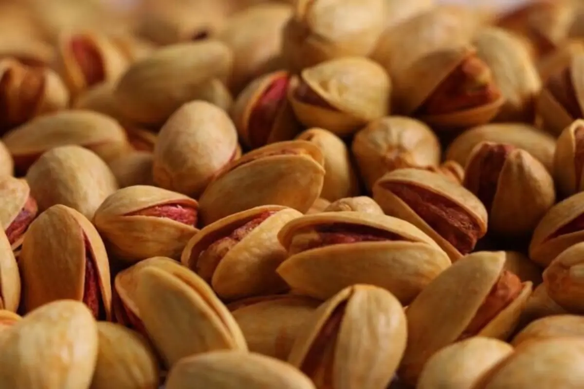 این اروپایی‌ها عاشق پسته ایران هستند