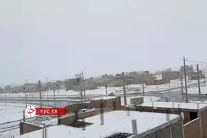 ببینید: بارش کم سابقه برف در زاهدان