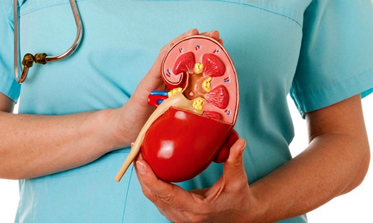 چگونه به بهبود سلامت کلیه‌ها و کبد کمک کنیم؟