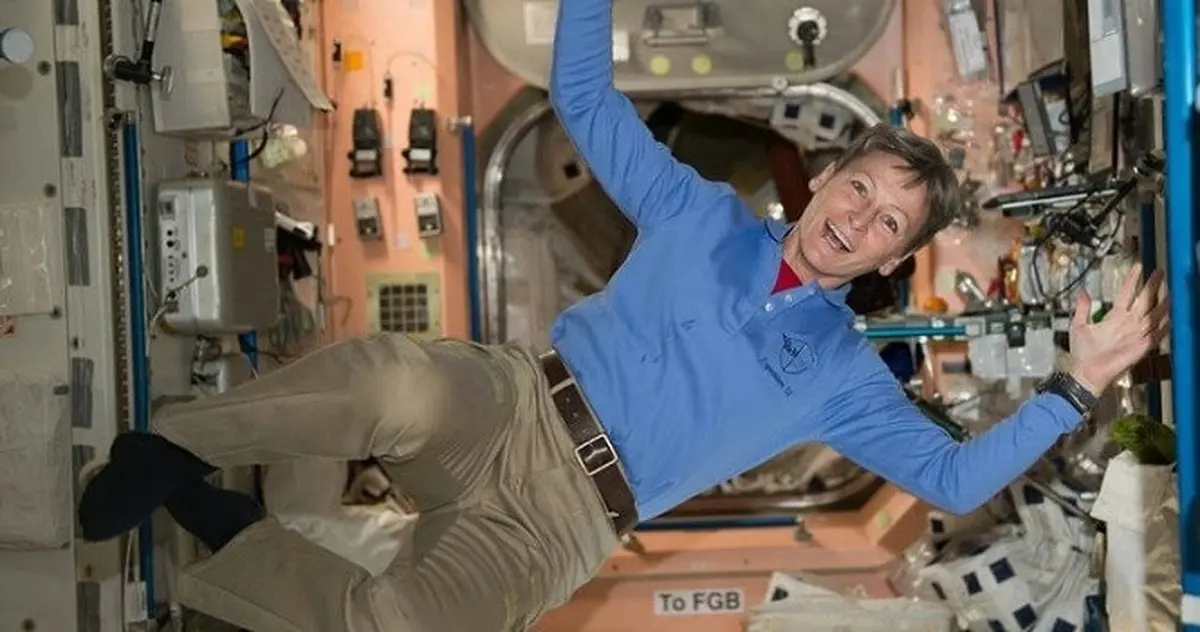 گران‌ترین توالت‌ جهان چند؟ /تصویر