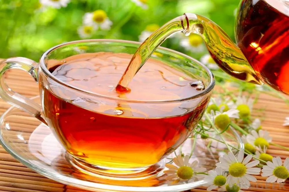 بهترین چای شمال کدام است؟
