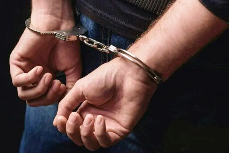 دستگیری رباینده مرد فرانسوی در تهران | جزئیات