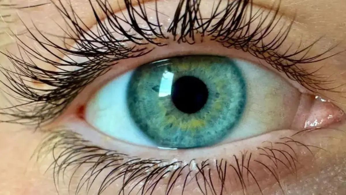 دانشمندان «رنگ جدیدی» کشف کردند!
