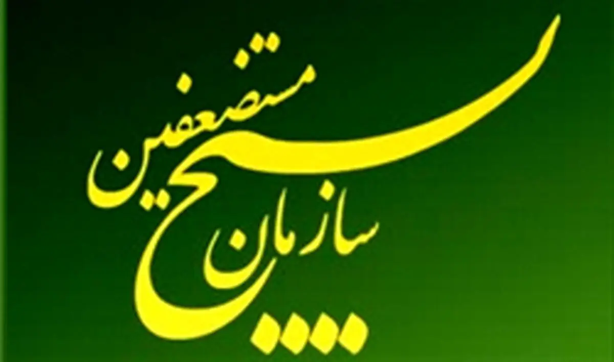  دولت مکلف به  پشتیبانی از بسیج شد 
