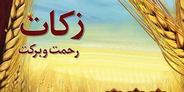 هیات وزیران برای زکات آیین نامه نوشت

