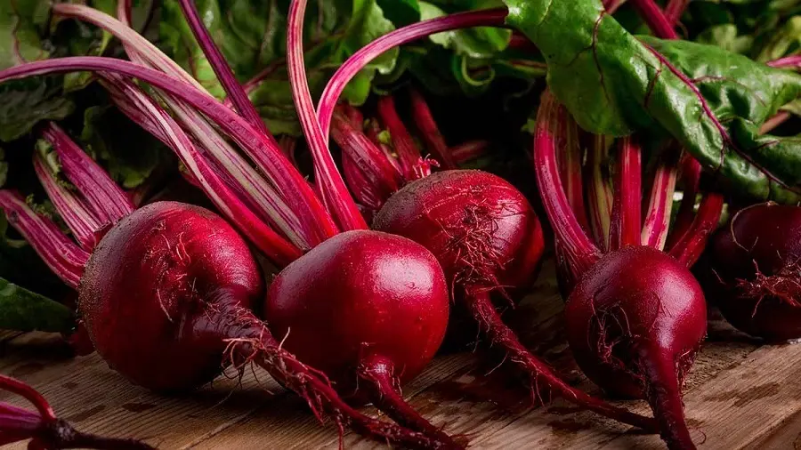 ۱۳ فایده‌ی شگفت‌انگیز چغندر برای سلامتی