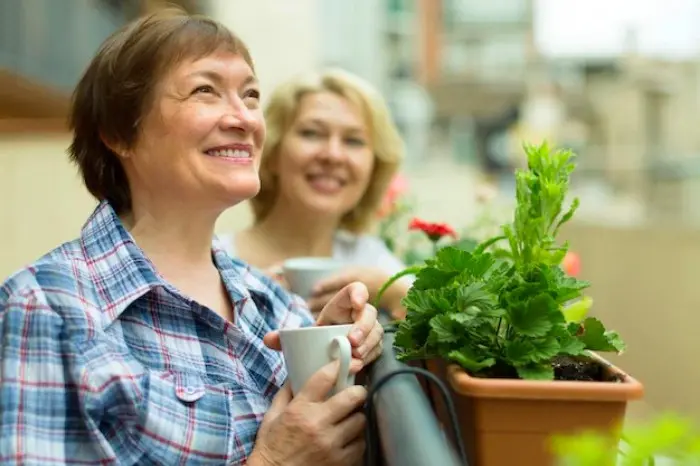 چگونه یک همسایه خوب باشیم؟ این ویژگی ها راز اصلی است