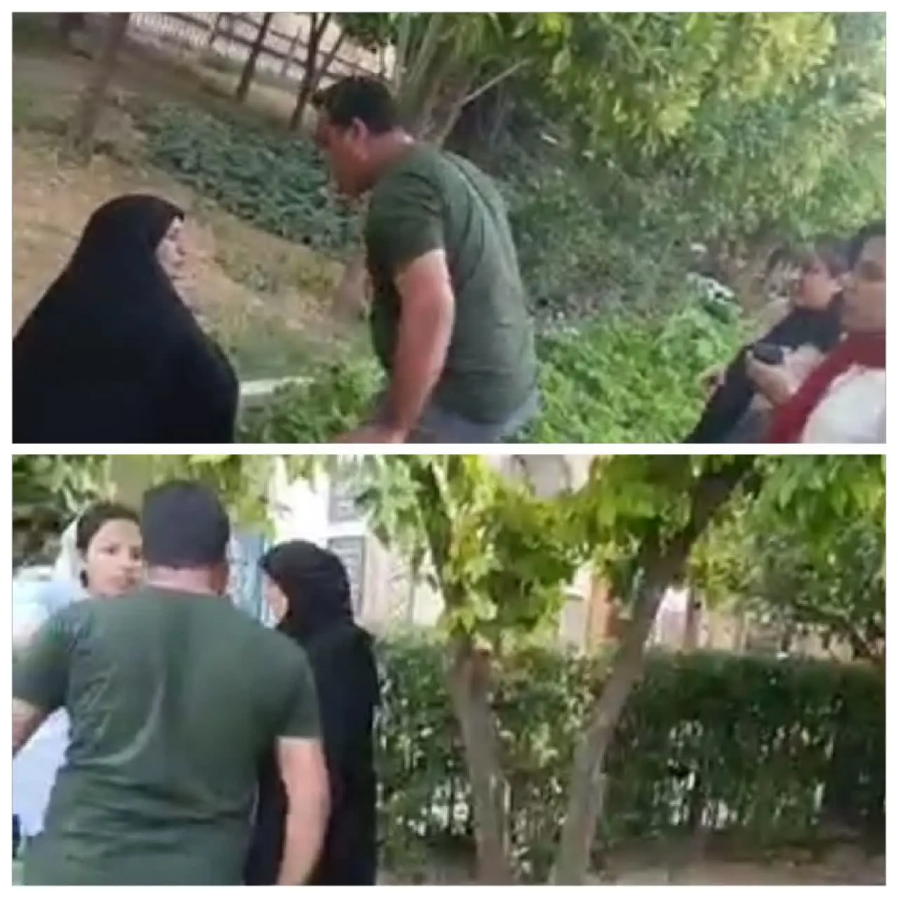 حمایت وزیر کشور از زن آمر به معروف در نارنجستان

