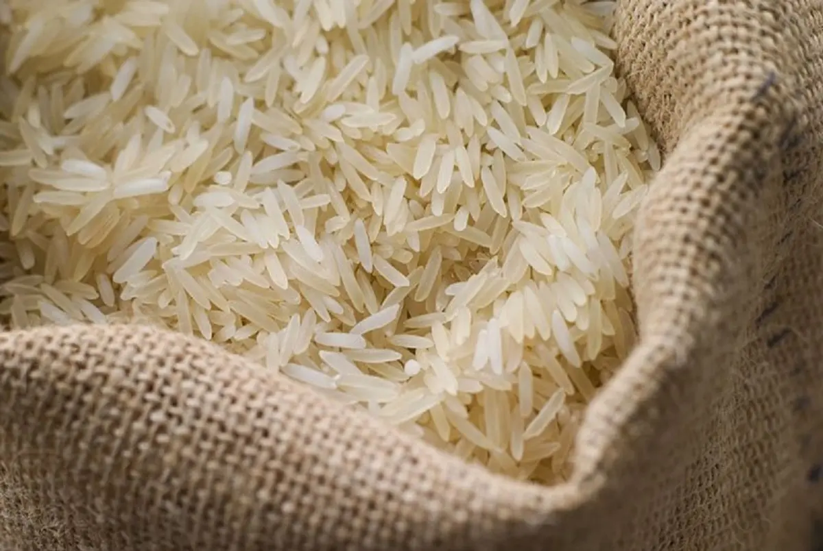 خبر خوش درباره قیمت برنج ایرانی