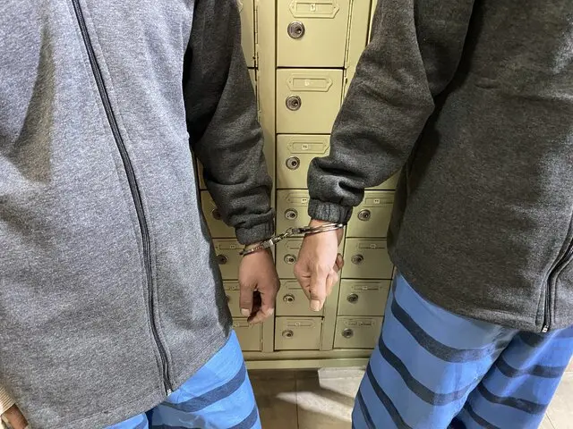 دستگیری دو زورگیر در پارک نهج البلاغه| تهدید با سلاح سرد