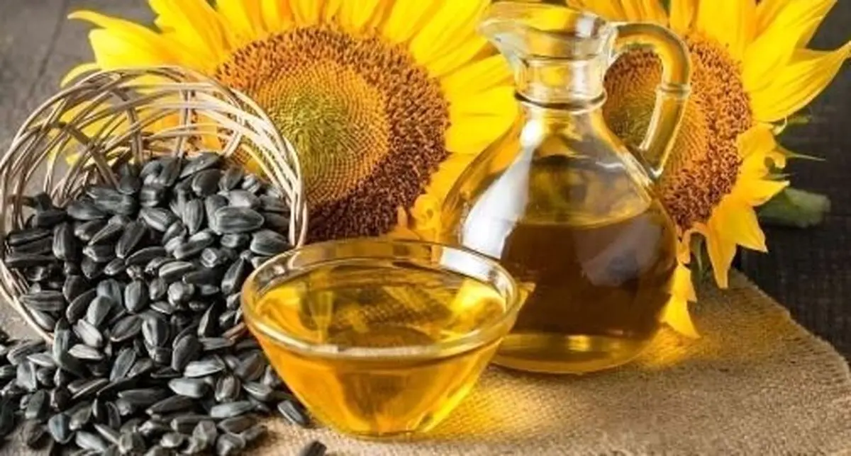 روغن آفتابگردان چه فوایدی دارد؟/چه چیزی موجب مضر شدن روغن آفتابگردان می‌شود؟

