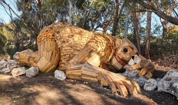 غول چوبی مشهور خاکستر شد
