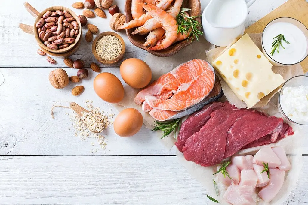 تغذیه روزانه باید شامل چه خوراکی هایی باشد؟