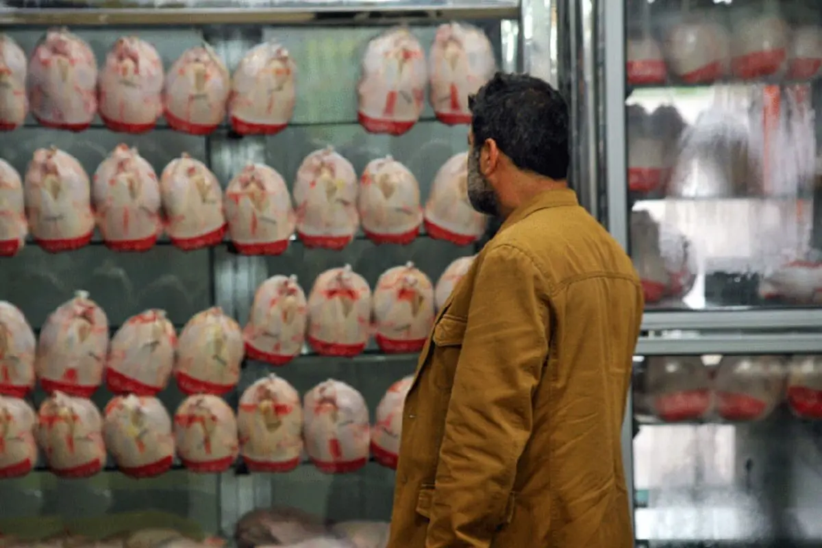 مرغداران تذکر گرفتند؛ قیمت مرغ نباید گران‌تر شود