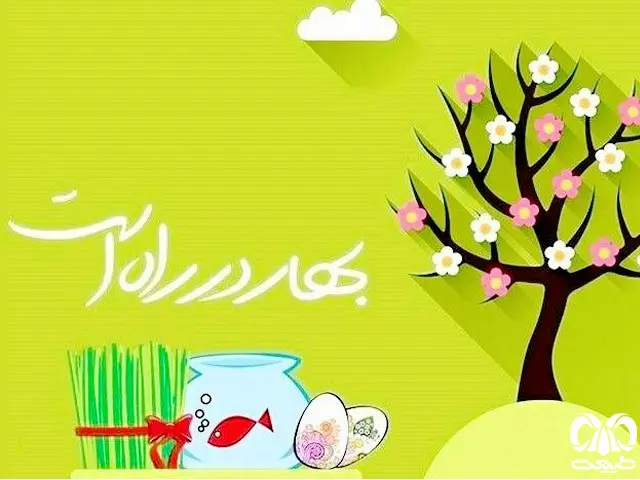 تعطیلی مدارس برای نوروز ۱۴۰۳ افزایش یافت/ ۲۰ روز تعطیلی مدارس در نوروز ۱۴۰۳+تقویم و جزئیات