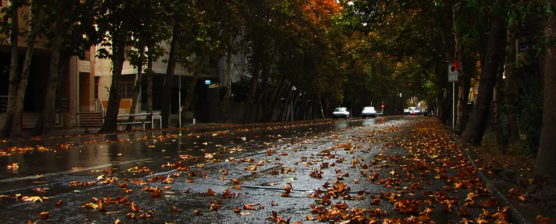 خیابانی خاطرهانگیز برای تهرانیها | عکس