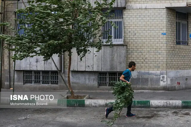 بارش باران و وزش باد در راه تهران