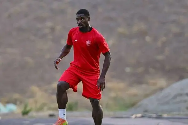 خبر خوش هاشمیان برای هوارادان پرسپولیس