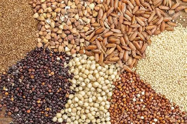 قیمت جدید و رسمی ذرت، جو و کنجاله سویا اعلام شد