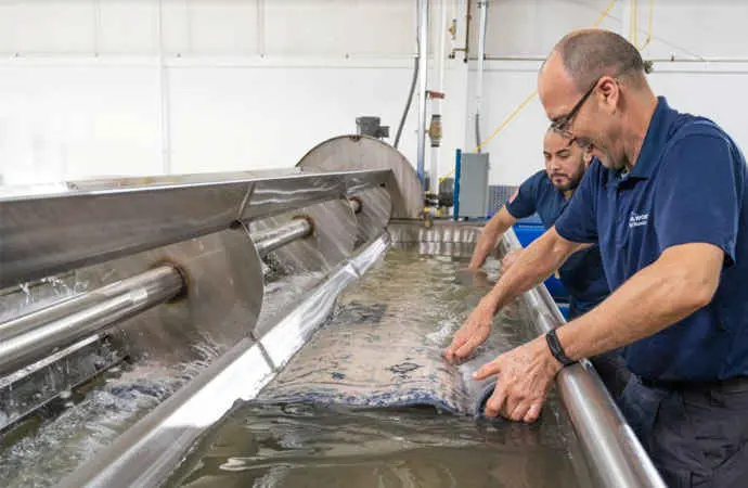 7 ماده غیرسمّی برای تمیز کردن فرش