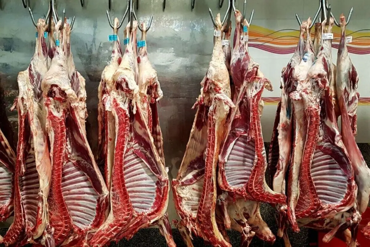 قیمت گوشت گوسفندی یک و نیم میلیونی شد + جدول