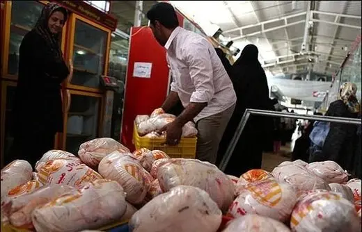 مرغ ارزان شد؛  زیر ۵۰ هزار تومان!