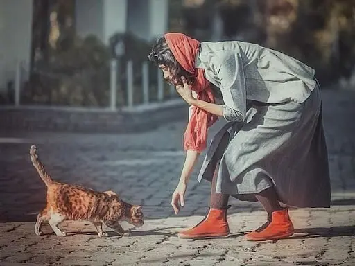 هفت باور اشتباه و پرتکرار درباره سگ و گربه
