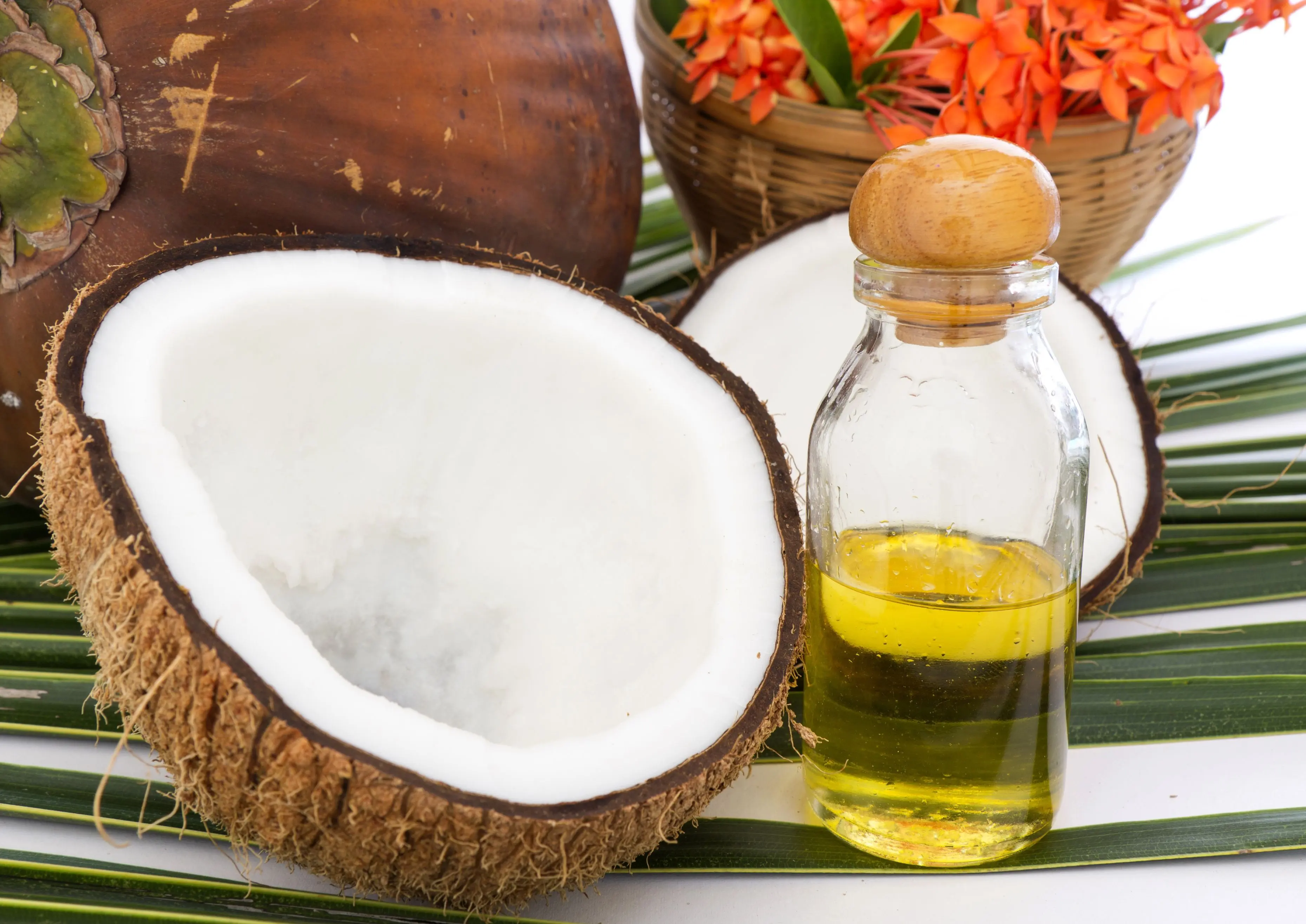 فواید بی‌نظیر روغن نارگیل؛ پوست و موی خود را دوباره زنده کنید!