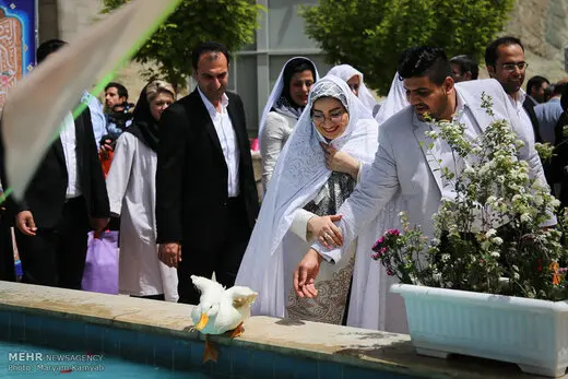 آغاز ثبت نام ازدواج دانشجویی 