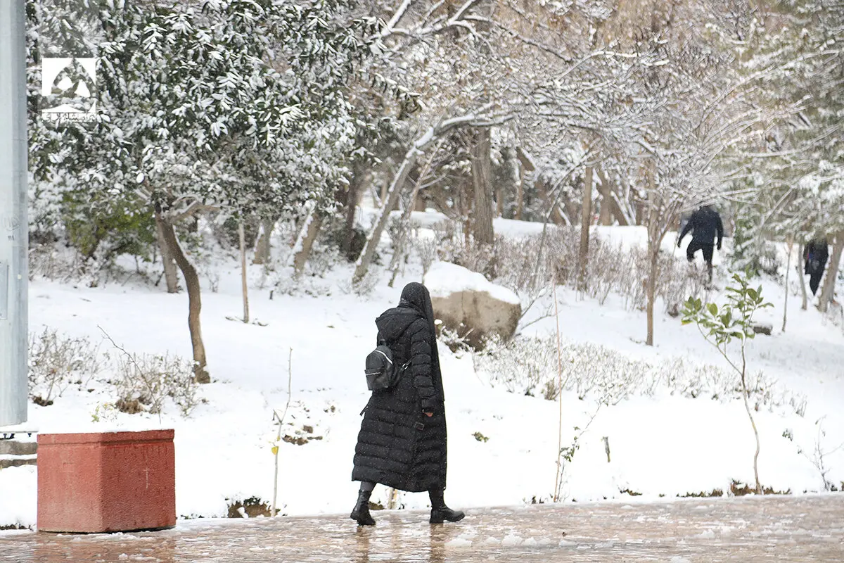 تهران زیر صفر رفت و یخ زد