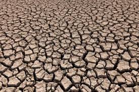 هر سال ۱ میلیون هکتار خاک ایران بیابان می‌شود