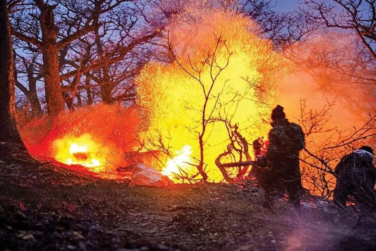 چقدر از جنگل الیت چالوس سوخته است؟
