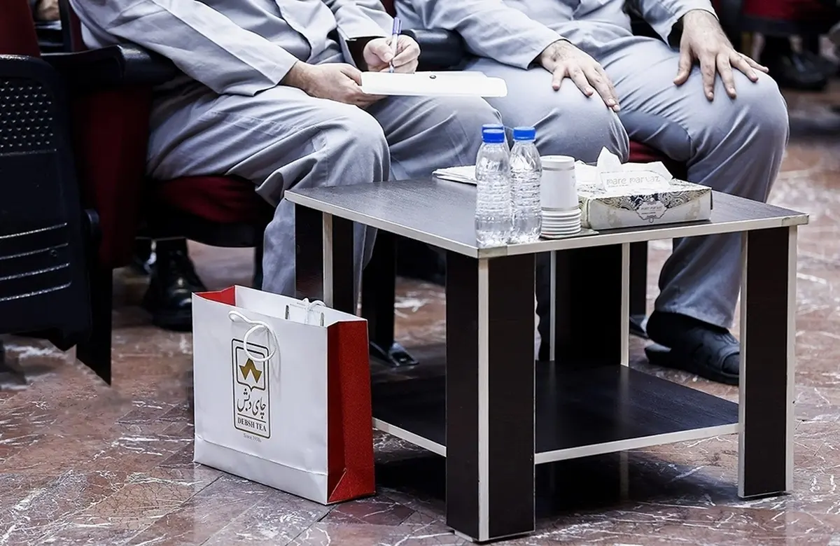 ۳۵۰ ملک در پرونده چای دبش با ارزش ۳۰ هزار میلیارد تومان بلوکه شد