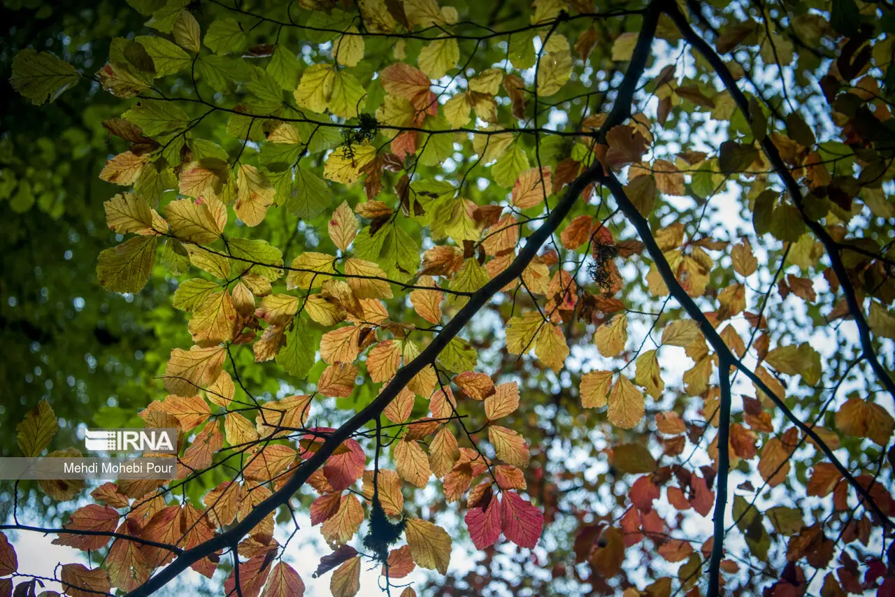 یک پیش‌بینی ترسناک از وضعیت تهران در پاییز 