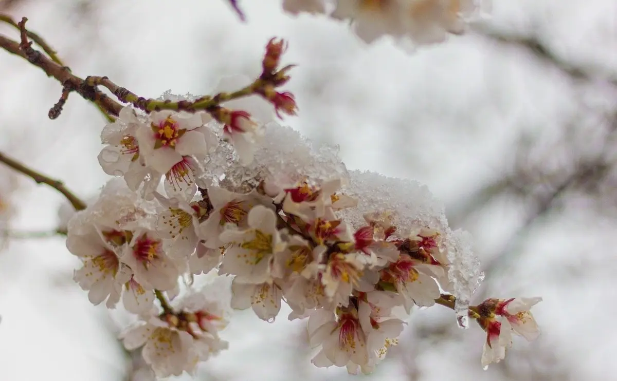 سردترین بامداد ۱۴۰۳ رسید؛ هوا کی گرم می‌شود؟+نقشه

