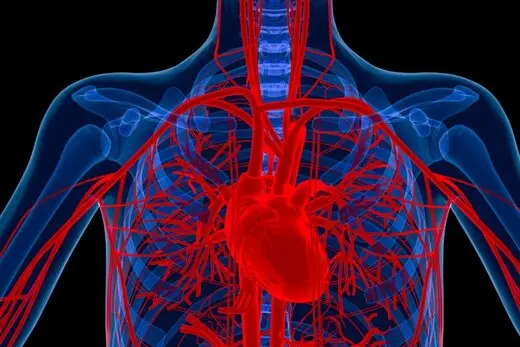 ۲۰ حقیقت خواندنی درباره ویژگی های شگفت انگیز بدن انسان