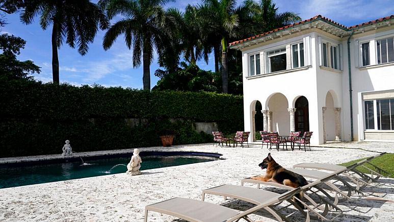 ثروت ۵۰۰ میلیون دلاری یک سگ/ ویلای مدونا به سگ‌ها رسید