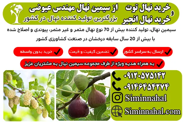 خرید نهال با میوه های پر سود
