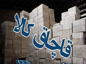 کشف ۵ میلیارد تومان انواع کالای قاچاق در جنوب تهران
