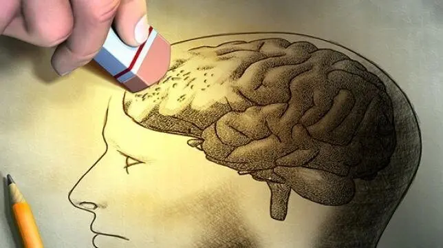 ویتامین‌هایی که حافظه را بیدار می‌کنند
