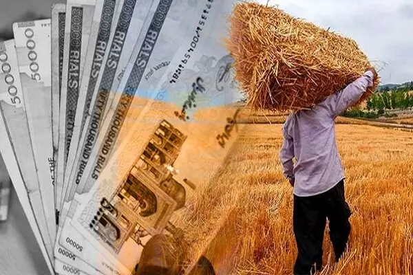 قیمت گندم از جلسه دولتی‌ها لو رفت