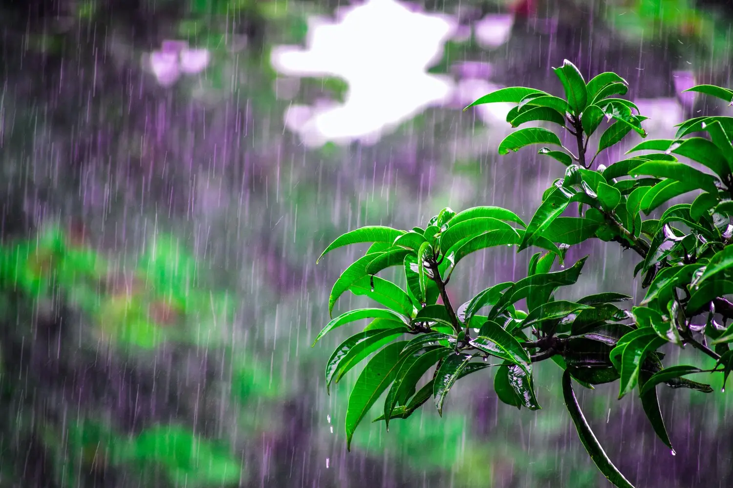 آمادهباش در آذربایجان غربی