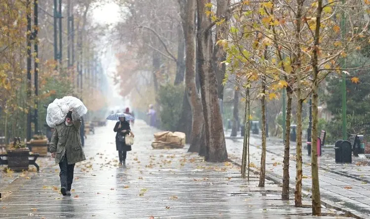 زمستان برگشت؛ تاتعطیلات منتظر بارش‌ دوباره برف و باران باشید

 