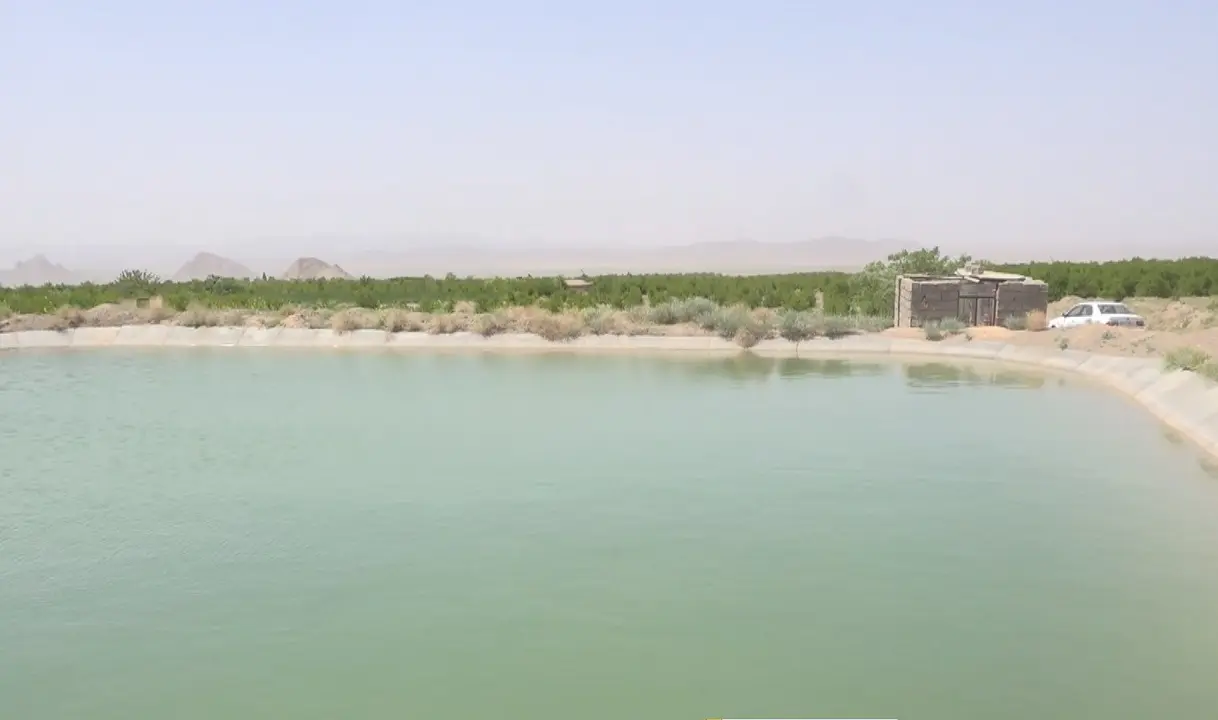 مرگ تلخ دختربچه 10 ساله در استخر پرورش ماهی | ماهی‌هایی که دنیا را به کام مرگ کشاندند

