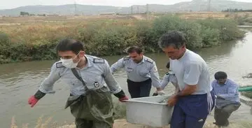 کشف یک جسد با هویت نامشخص

