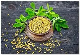 خواص شنبلیله برای مردان، بهبود عملکرد جنسی و تستوسترون!

