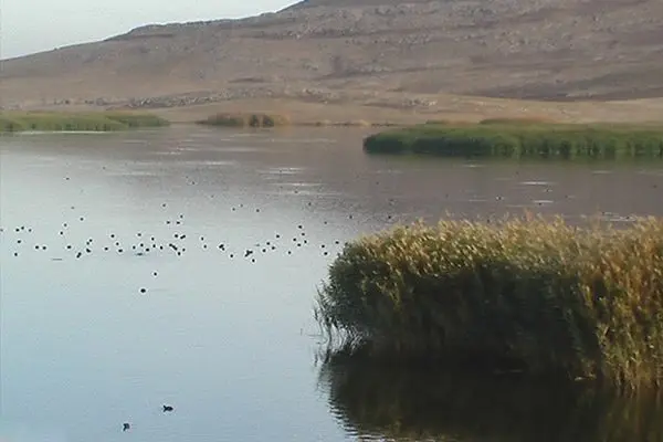 تالاب جازموریان دوباره جان گرفت