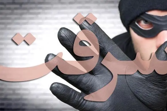 پرتاب شدن سارق جوان از پشت بام خانه!