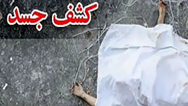 قتل وحشتناک زن جوان در شهرک ولیعصر/ کشف اعضای مثله شده بدن زن در نقاط مختلف