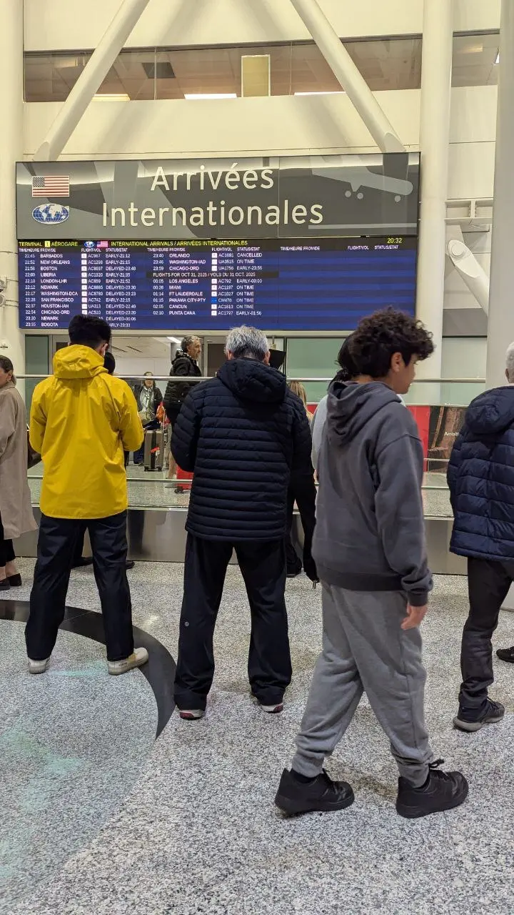 پژمان جمشیدی